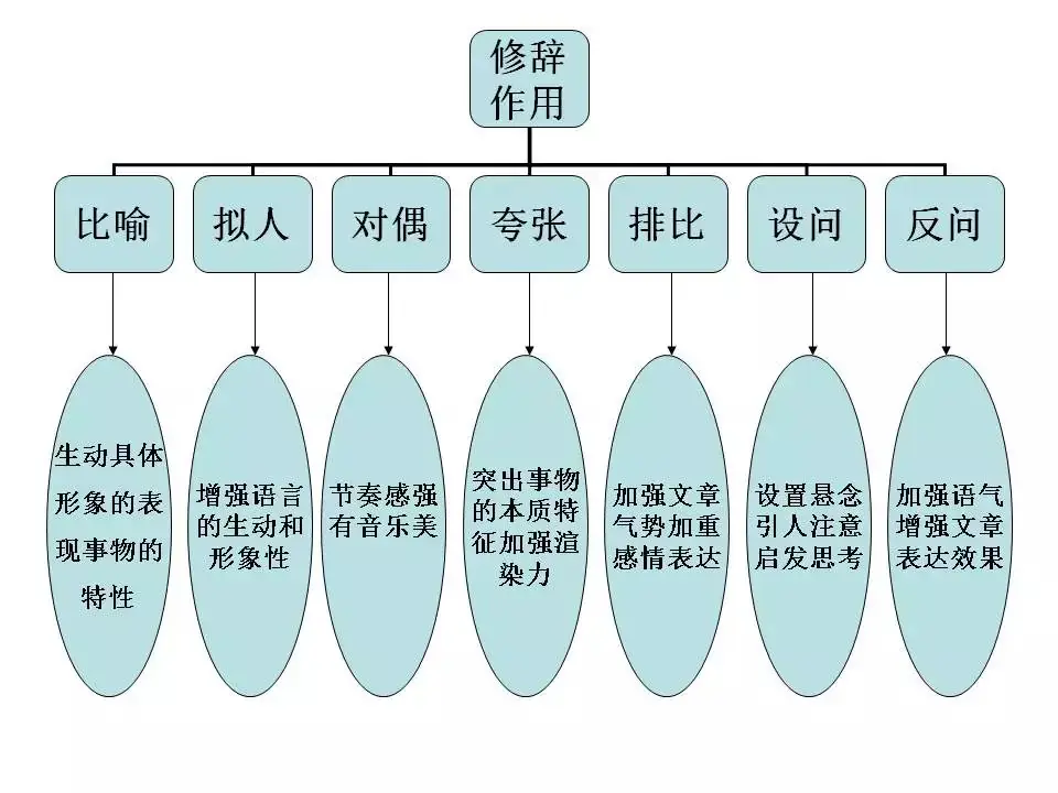 2024中考:初中语文《知识体系思维导图》 第5张 2024中考:初中语文《知识体系思维导图》 第5张