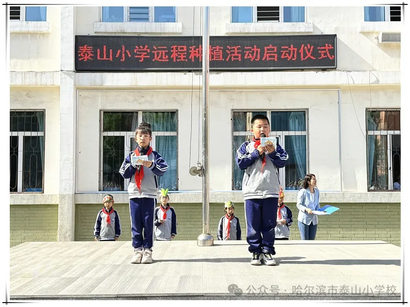 泰山小学远程种植活动侧记 第6张 泰山小学远程种植活动侧记 第6张