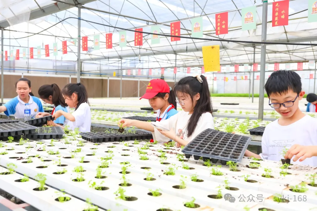 20240522D衡山县实验小学研学实践活动 第144张 20240522D衡山县实验小学研学实践活动 第144张