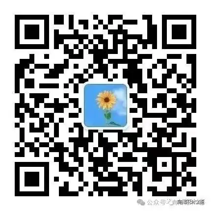万物向阳,小满得盈----人民小学四(2)班值周活动特辑 第26张
