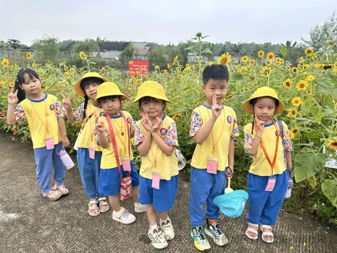 探秘小学,筑梦成长——石楼镇海心幼儿园幼小衔接参观海鸥学校活动 第67张
