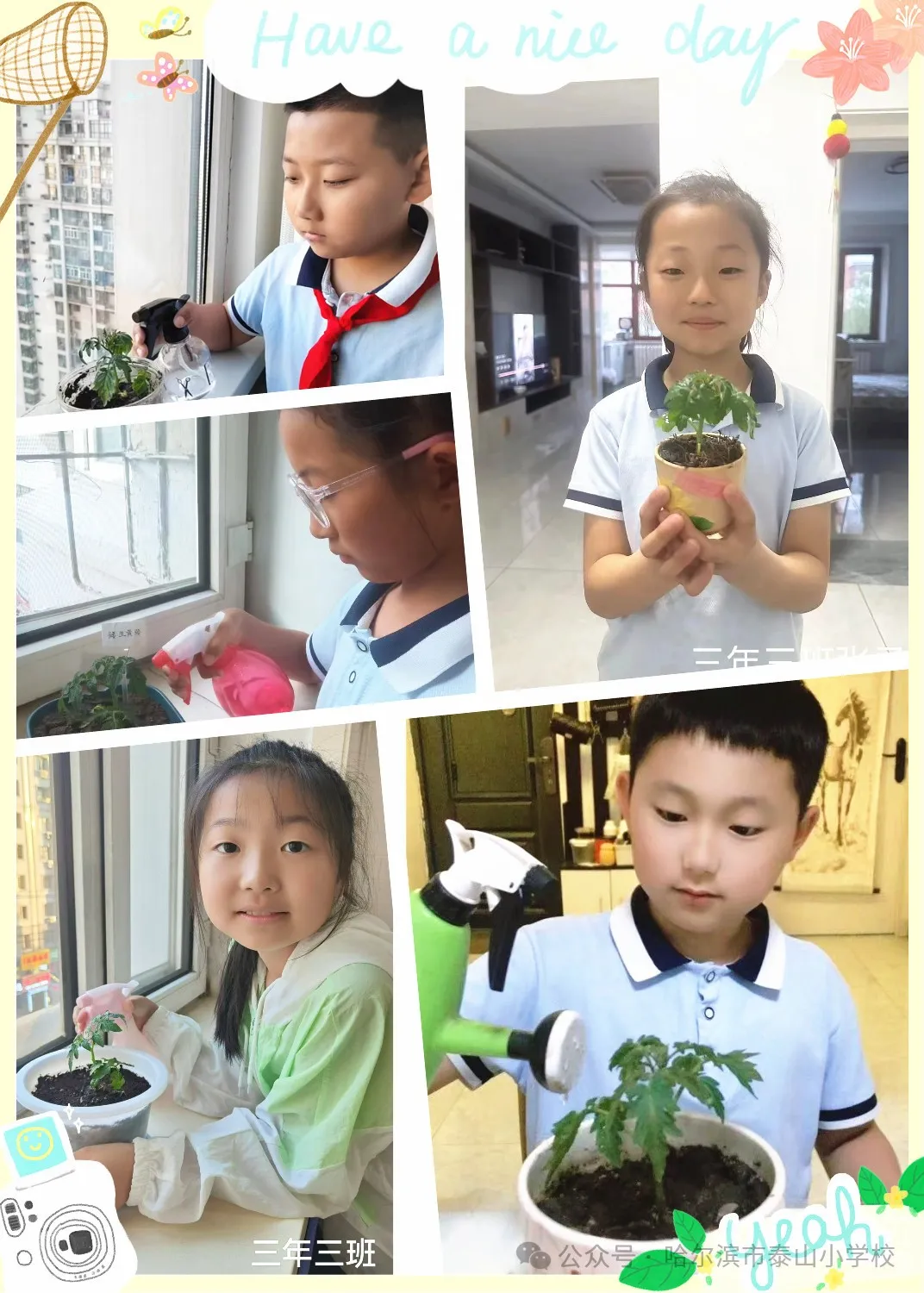 泰山小学远程种植活动侧记 第36张 泰山小学远程种植活动侧记 第36张