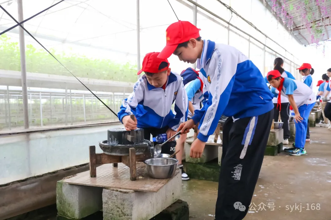 20240522D衡山县实验小学研学实践活动 第64张 20240522D衡山县实验小学研学实践活动 第64张