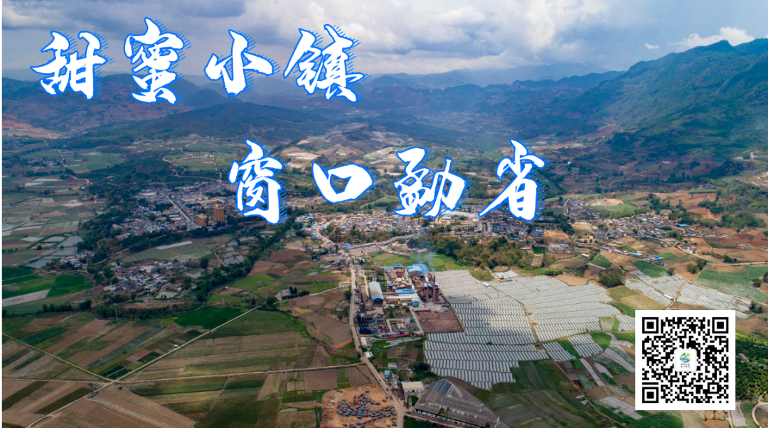 喜报:勐省中学2021中考再创佳绩 第6张 喜报:勐省中学2021中考再创佳绩 第6张