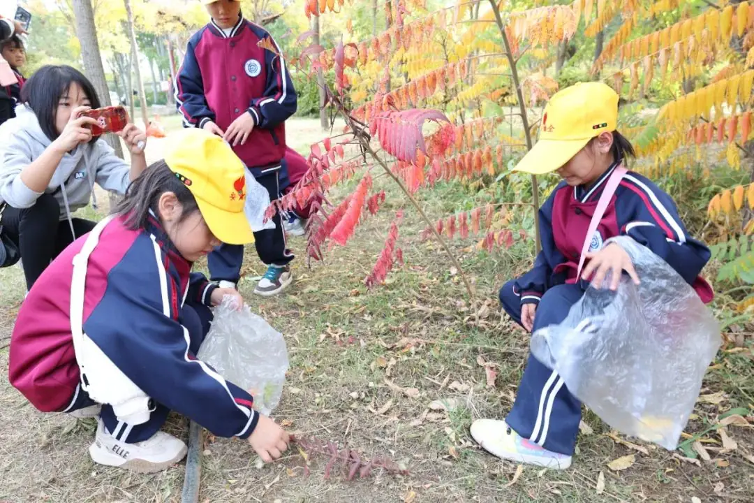 就读衡越小学,5月27日-6月7日校长专场咨询,一对一为您答疑 第55张 就读衡越小学,5月27日-6月7日校长专场咨询,一对一为您答疑 第55张