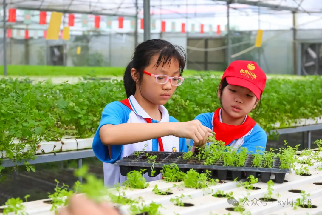 20240522D衡山县实验小学研学实践活动 第141张 20240522D衡山县实验小学研学实践活动 第141张