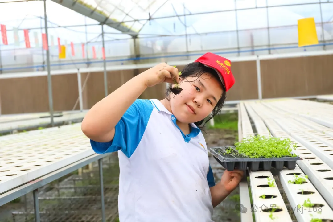 20240522D衡山县实验小学研学实践活动 第147张 20240522D衡山县实验小学研学实践活动 第147张