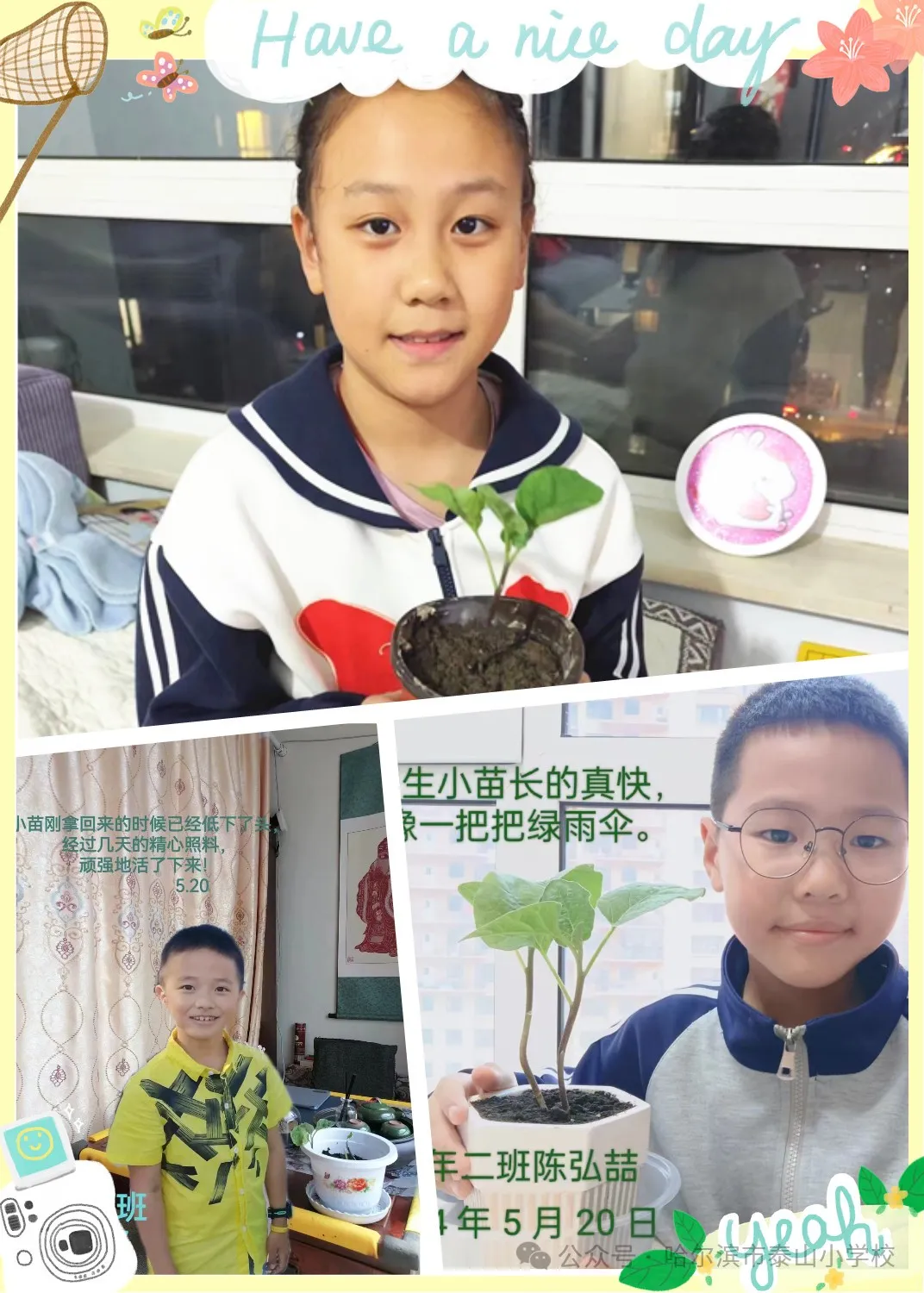 泰山小学远程种植活动侧记 第35张 泰山小学远程种植活动侧记 第35张