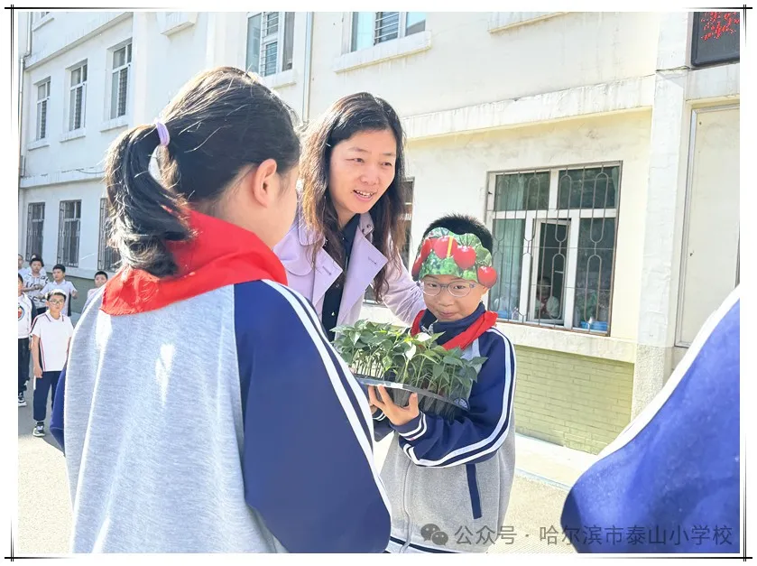 泰山小学远程种植活动侧记 第9张 泰山小学远程种植活动侧记 第9张