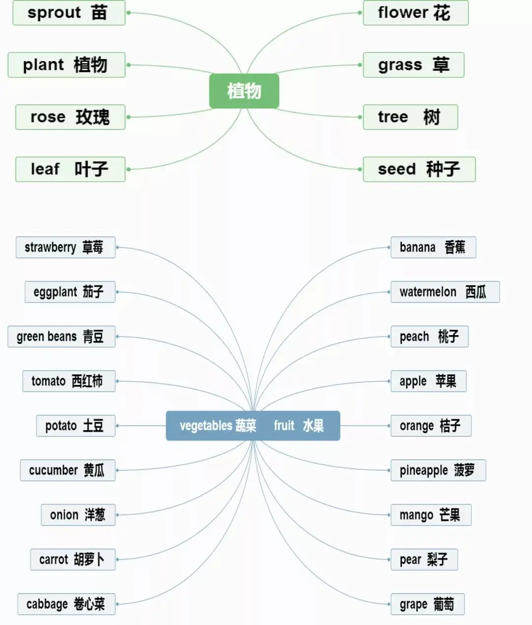 小学英语思维导图分类记单词,真的太方便了!(建议收藏) 第18张