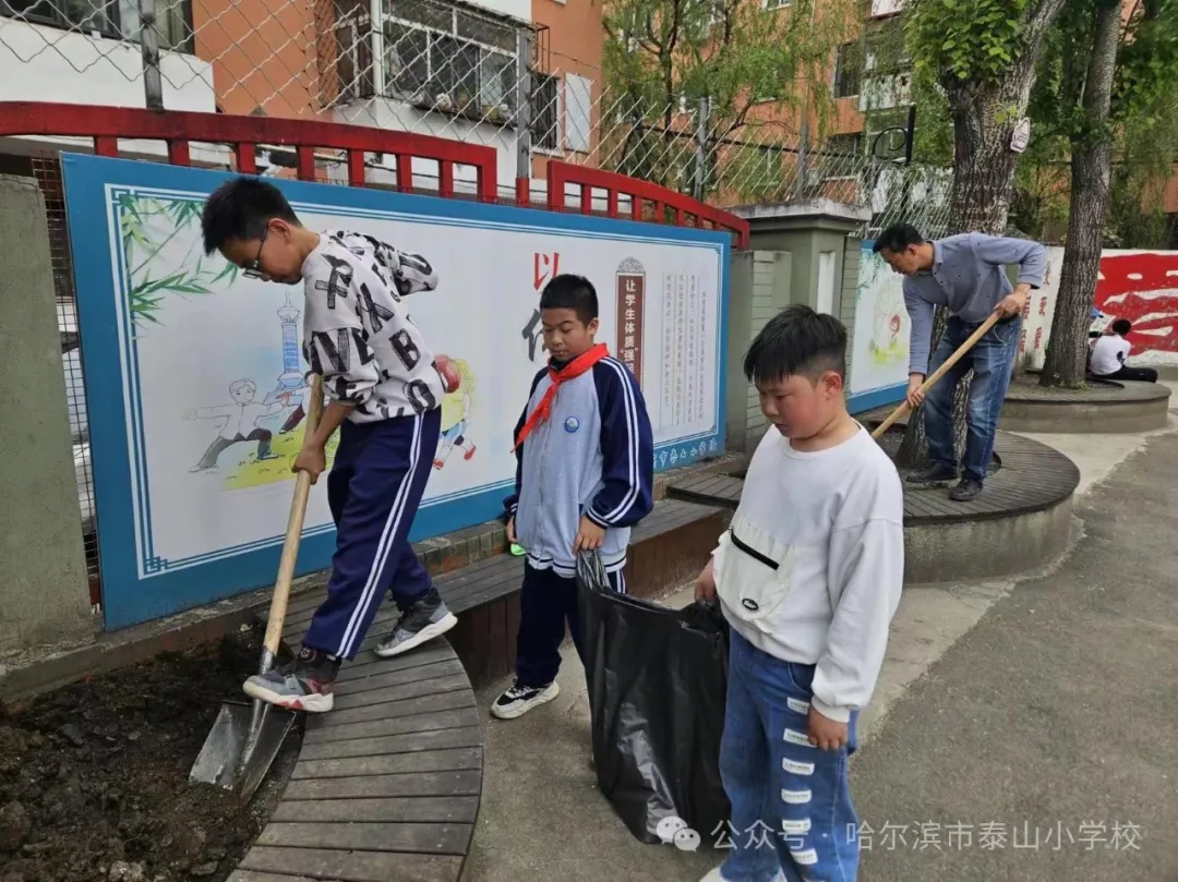 泰山小学远程种植活动侧记 第17张 泰山小学远程种植活动侧记 第17张