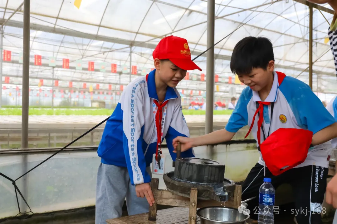 20240522D衡山县实验小学研学实践活动 第60张 20240522D衡山县实验小学研学实践活动 第60张