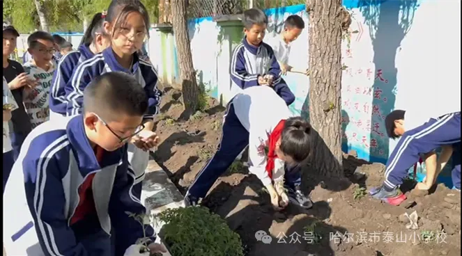 泰山小学远程种植活动侧记 第26张 泰山小学远程种植活动侧记 第26张