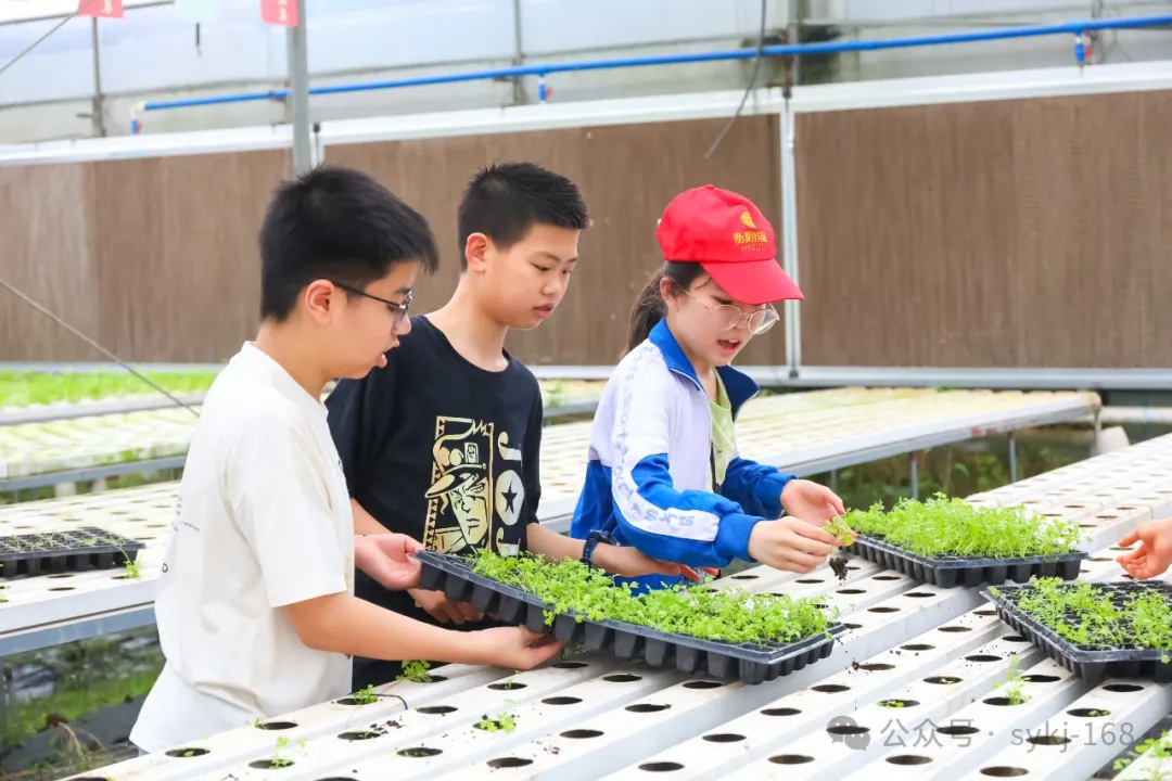 20240522D衡山县实验小学研学实践活动 第146张 20240522D衡山县实验小学研学实践活动 第146张