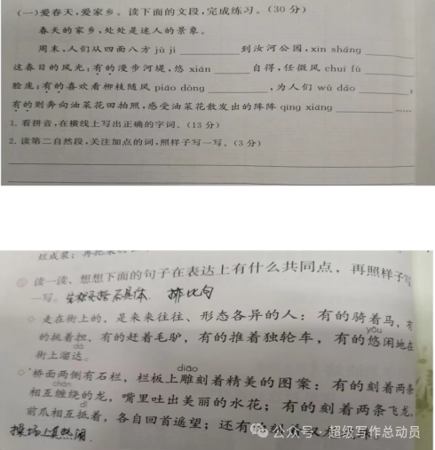 小学语文下册期中监测质量分析(三年级) 第3张 小学语文下册期中监测质量分析(三年级) 第3张