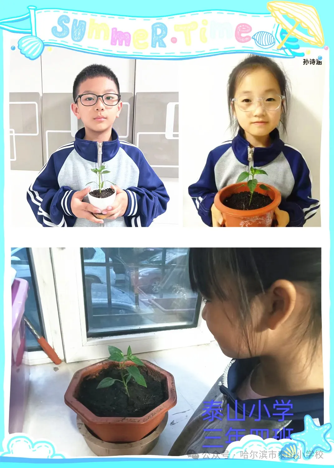 泰山小学远程种植活动侧记 第37张 泰山小学远程种植活动侧记 第37张