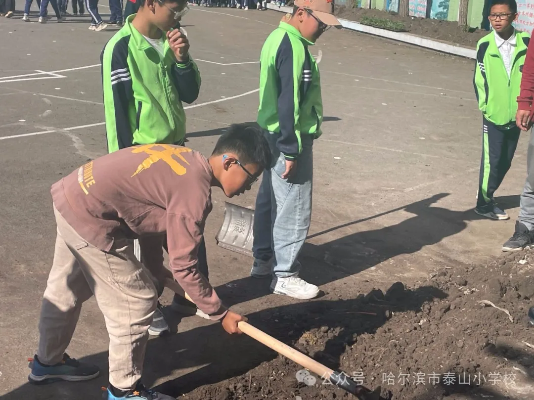 泰山小学远程种植活动侧记 第18张 泰山小学远程种植活动侧记 第18张