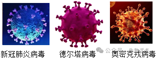 每日一题 备战中考(菏泽中考)17 第2张 每日一题 备战中考(菏泽中考)17 第2张