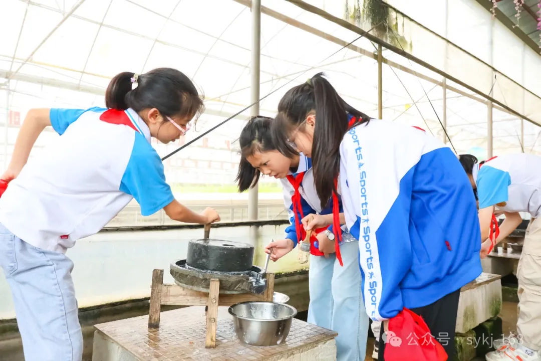 20240522D衡山县实验小学研学实践活动 第66张 20240522D衡山县实验小学研学实践活动 第66张