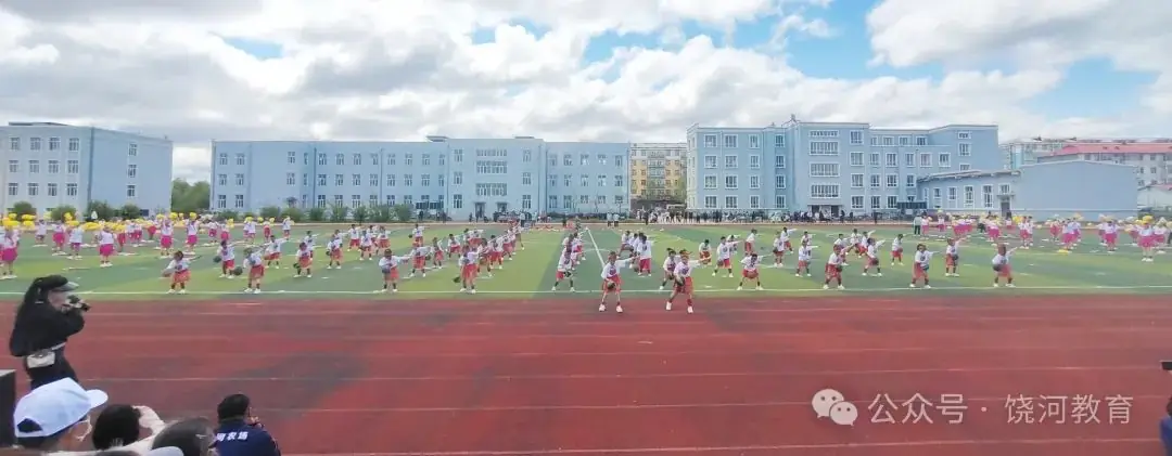 饶河农场中心小学举行第二十九届学生运动会 第3张