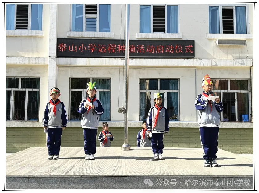泰山小学远程种植活动侧记 第8张 泰山小学远程种植活动侧记 第8张