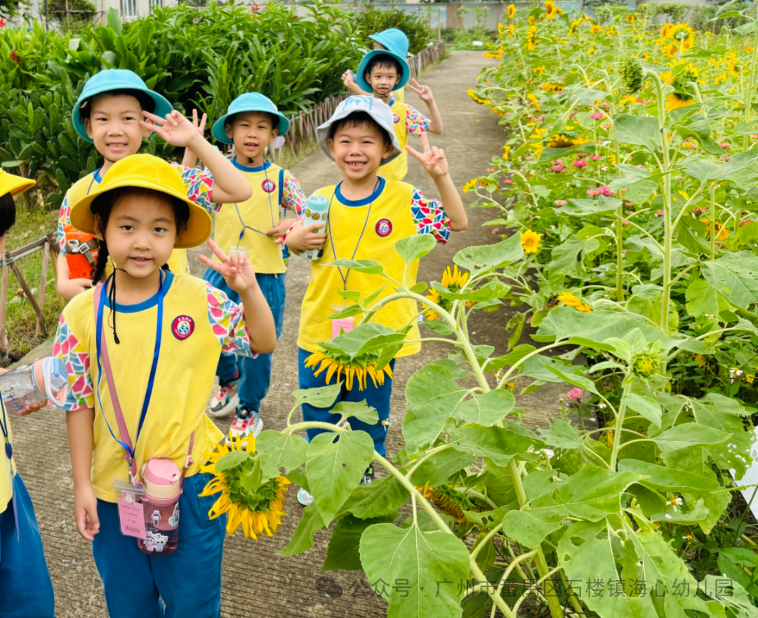 探秘小学,筑梦成长——石楼镇海心幼儿园幼小衔接参观海鸥学校活动 第65张