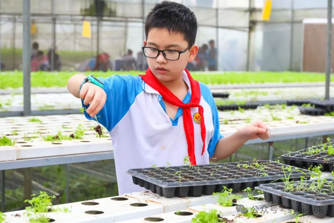 20240522D衡山县实验小学研学实践活动 第145张 20240522D衡山县实验小学研学实践活动 第145张