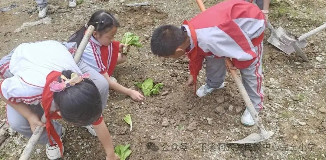 下溪小学一周动态5月20——5月24日 第18张 下溪小学一周动态5月20——5月24日 第18张