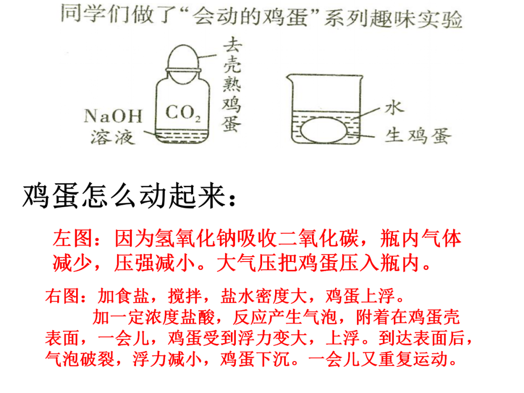 中考化学之回归教材-基础实验总结 第52张