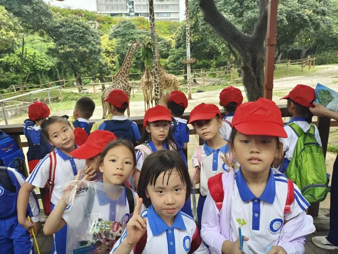 龙飞小学1-2年级学生主题式研学课程活动精彩回顾 第32张 龙飞小学1-2年级学生主题式研学课程活动精彩回顾 第32张