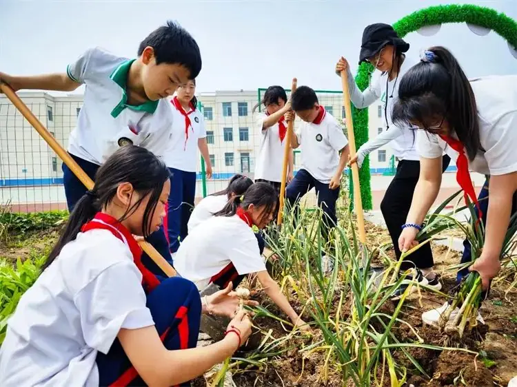 马桥镇陈庄小学第13周工作简报 第36张