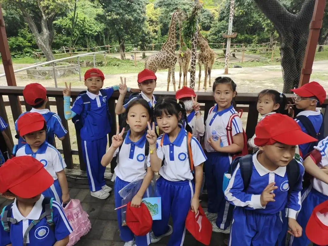 龙飞小学1-2年级学生主题式研学课程活动精彩回顾 第34张 龙飞小学1-2年级学生主题式研学课程活动精彩回顾 第34张