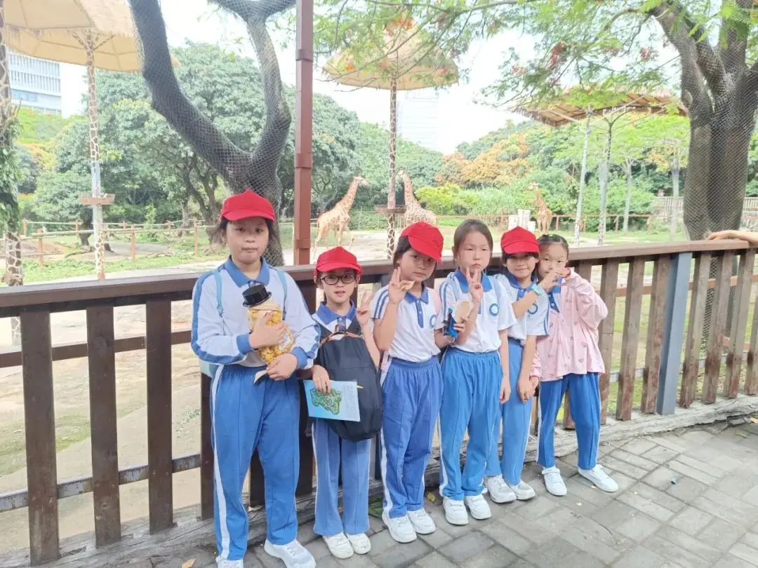 龙飞小学1-2年级学生主题式研学课程活动精彩回顾 第33张 龙飞小学1-2年级学生主题式研学课程活动精彩回顾 第33张