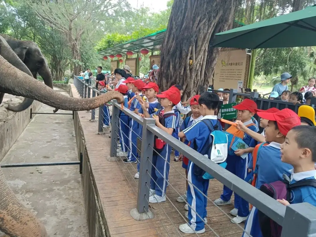龙飞小学1-2年级学生主题式研学课程活动精彩回顾 第60张 龙飞小学1-2年级学生主题式研学课程活动精彩回顾 第60张