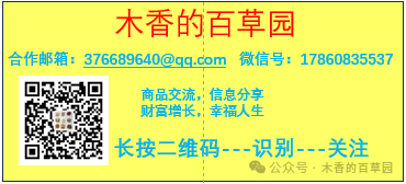 中考英语一定要背的200个高频词汇 第1张 中考英语一定要背的200个高频词汇 第1张