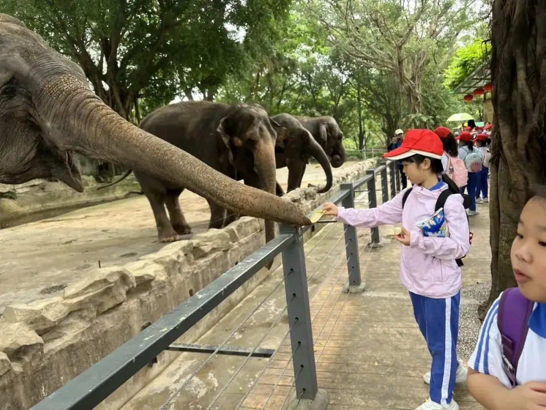 龙飞小学1-2年级学生主题式研学课程活动精彩回顾 第62张 龙飞小学1-2年级学生主题式研学课程活动精彩回顾 第62张