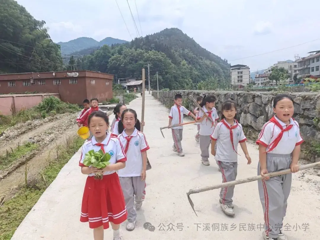 下溪小学一周动态5月20——5月24日 第15张 下溪小学一周动态5月20——5月24日 第15张
