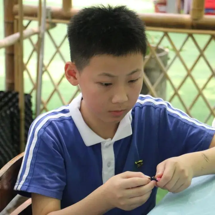 龙飞小学3-6年级学生主题式研学课程活动精彩回顾 第98张 龙飞小学3-6年级学生主题式研学课程活动精彩回顾 第98张