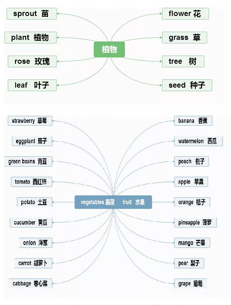 【小学英语】1-6年级重点知识思维导图汇总,收藏!-第3张图片-四季读书网
