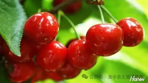 高考必备!成语熟语速记800个(意义、用法、褒贬) 第1张