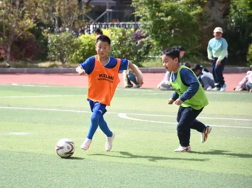 【第209期】实至名归!汉景小学再获殊荣! 第8张 【第209期】实至名归!汉景小学再获殊荣! 第8张