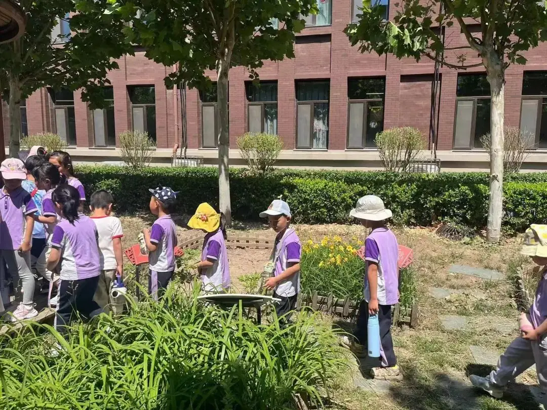 初探小学 共绘成长——金艺小学携手恒逸华庭幼儿园开展幼小衔接活动 第27张 初探小学 共绘成长——金艺小学携手恒逸华庭幼儿园开展幼小衔接活动 第27张