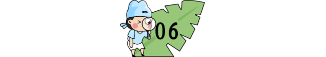 【每日一练】可打印丨小学语文1-6年级基础+阅读每日一练,提高成绩见效快! 第12张 【每日一练】可打印丨小学语文1-6年级基础+阅读每日一练,提高成绩见效快! 第12张