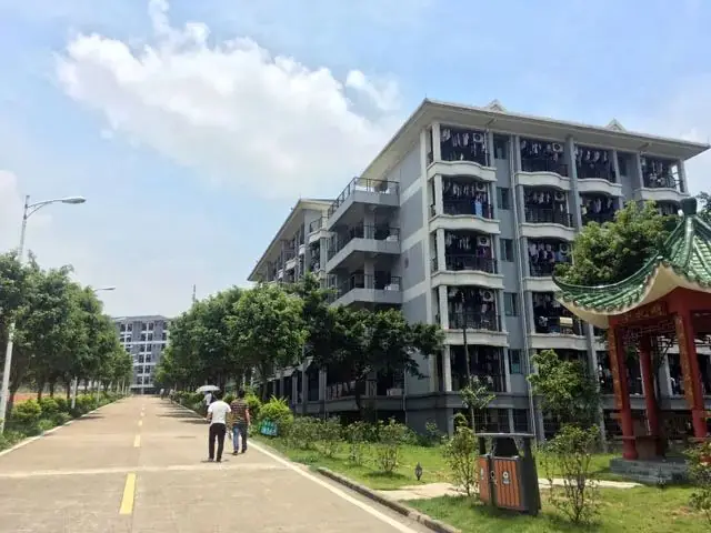 备战2025年3+证书高职高考辅导班,0基础提分效果显示,公办大学上课 第28张 备战2025年3+证书高职高考辅导班,0基础提分效果显示,公办大学上课 第28张