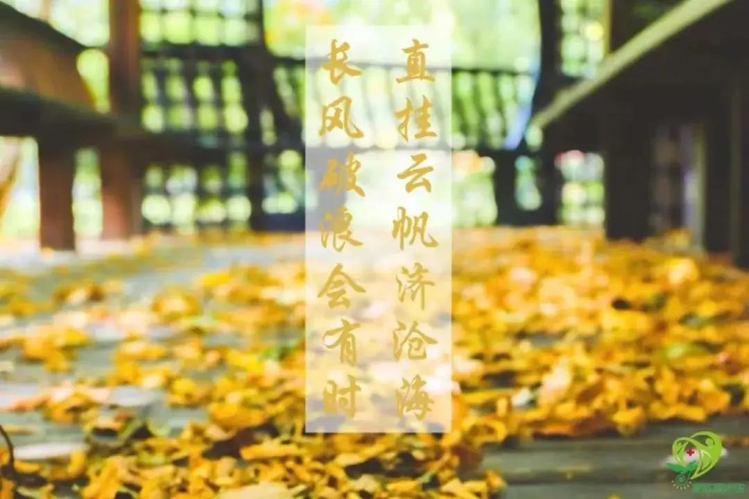 高考倒计时十天|“10”光正好,少年圆梦! 第2张 高考倒计时十天|“10”光正好,少年圆梦! 第2张