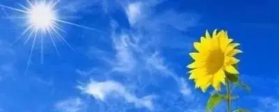中考满分作文《何惧逆境,向阳而生》 第3张