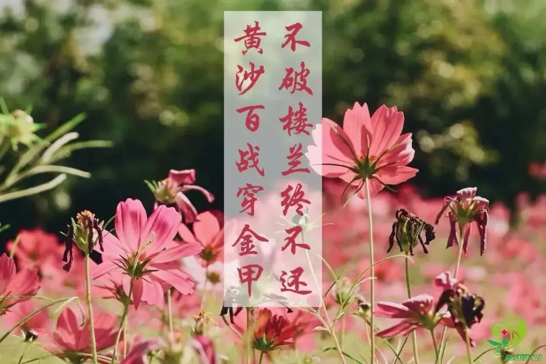 高考倒计时十天|“10”光正好,少年圆梦! 第6张 高考倒计时十天|“10”光正好,少年圆梦! 第6张