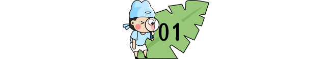 【每日一练】可打印丨小学语文1-6年级基础+阅读每日一练,提高成绩见效快! 第1张 【每日一练】可打印丨小学语文1-6年级基础+阅读每日一练,提高成绩见效快! 第1张