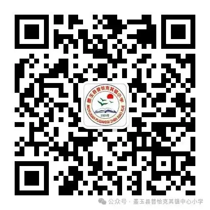 【校园·吉尼斯】墨玉县普恰克其镇小学举办第一季校园吉尼斯挑战赛 第45张