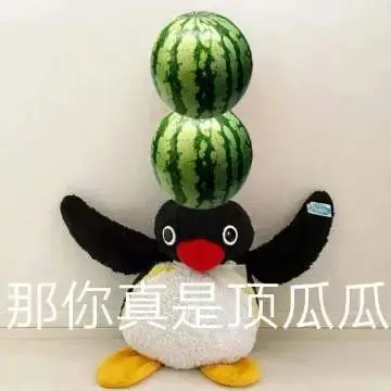 从高考文科省前50到香港大学再到中环金融打工人,我后悔了吗? 第8张 从高考文科省前50到香港大学再到中环金融打工人,我后悔了吗? 第8张